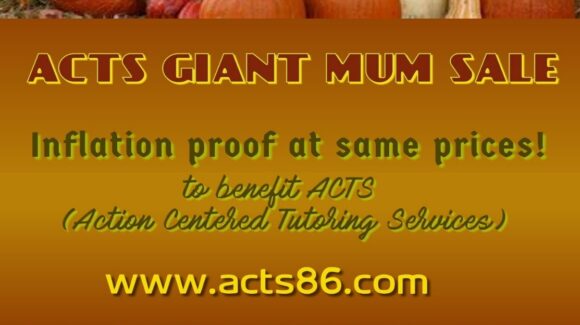 ACTS Giant Mums Sale ACTS Giant Mums Sale