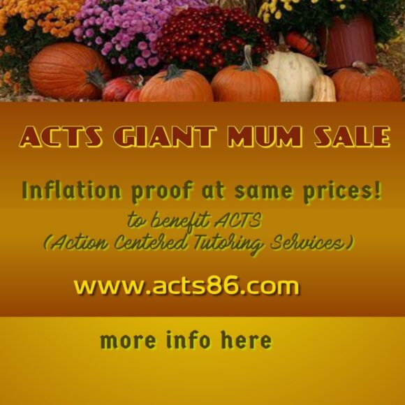 ACTS Giant Mums Sale