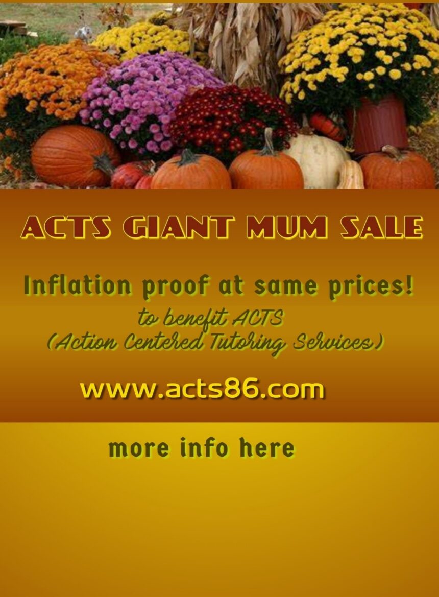 ACTS Giant Mums Sale
