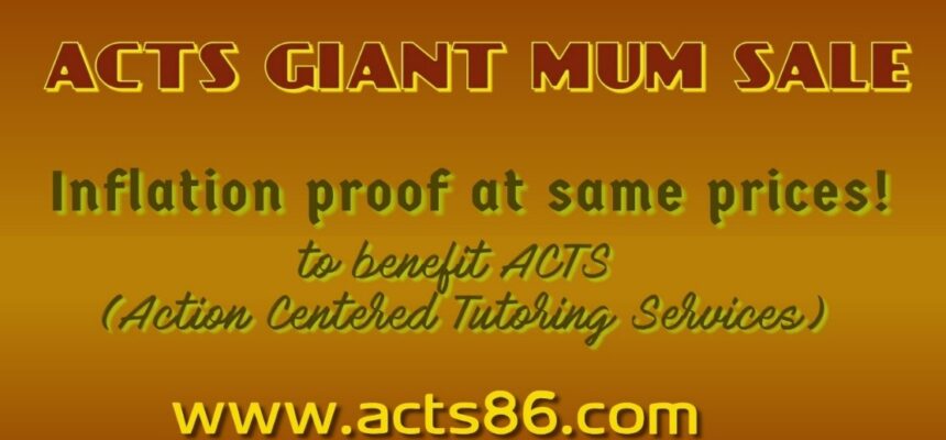 ACTS Giant Mums Sale ACTS Giant Mums Sale
