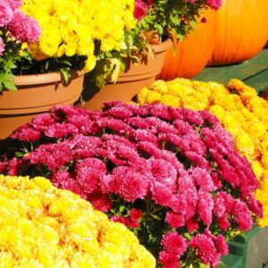 Upcoming Events – Mark Your Calendars