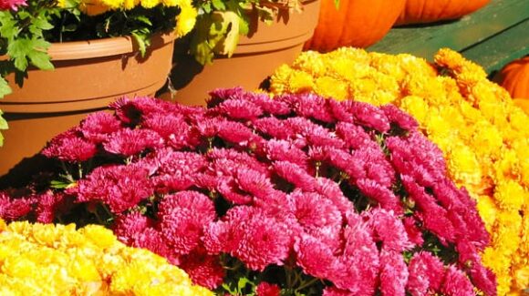 Upcoming Events – Mark Your Calendars Upcoming Events – Mark Your Calendars