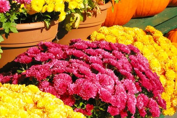 Upcoming Events – Mark Your Calendars Upcoming Events – Mark Your Calendars