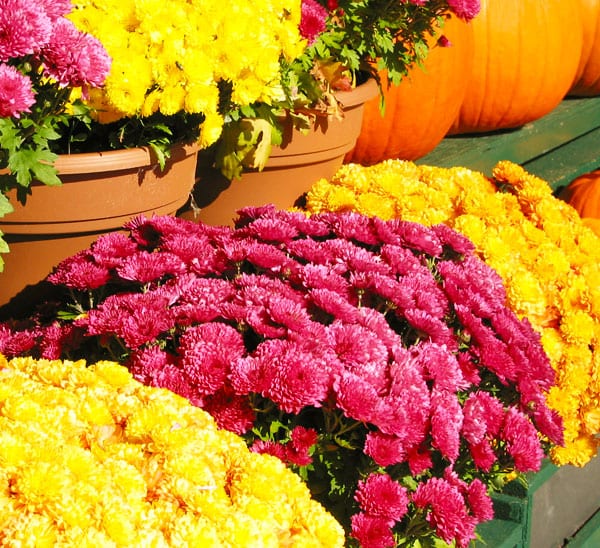 Upcoming Events – Mark Your Calendars Upcoming Events – Mark Your Calendars